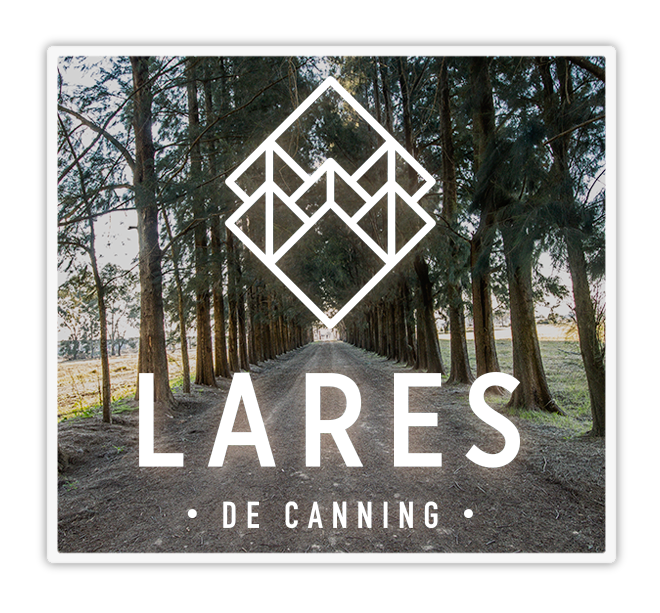 logo lares